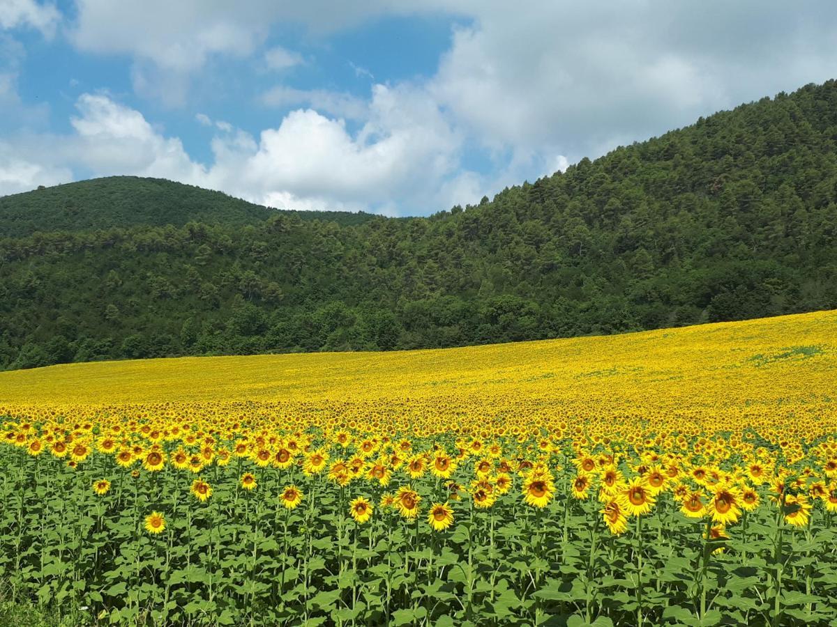 Il Girasole Del Lago Piediluco Exteriör bild